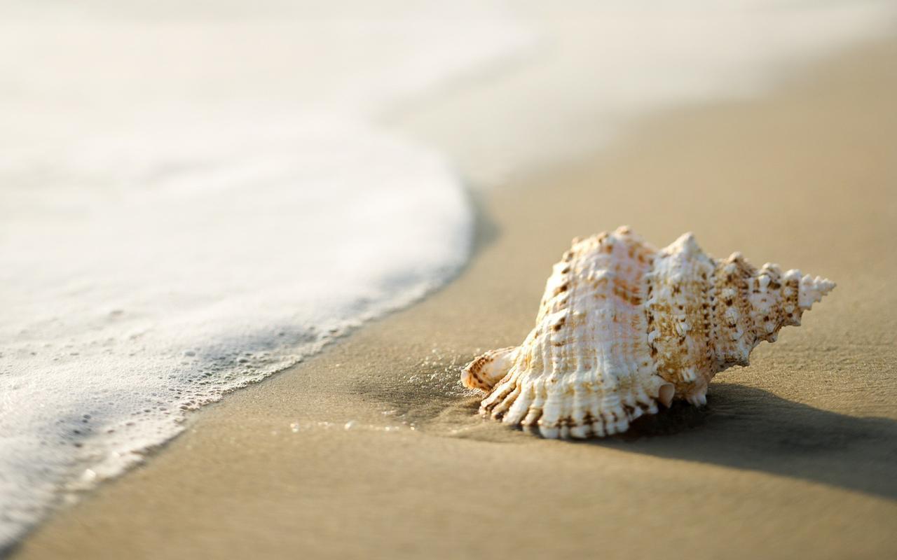 White Shell Beach House Kannur Exterior foto